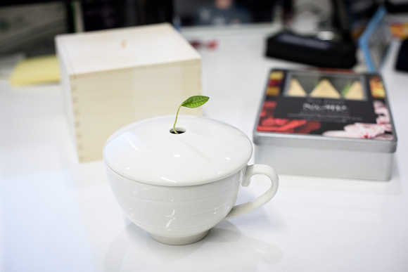 Tea Forté Cafe Cup