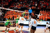 UO vs OSU Women's Volleyball