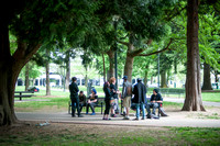 Students in the Park