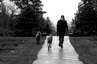 Jogger and his dogs