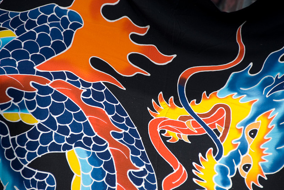 Dragon Print on Fabric