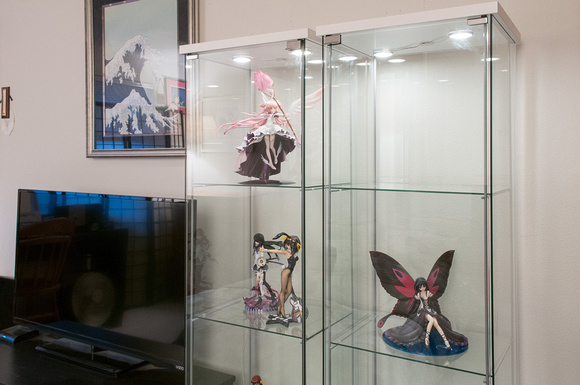 Anime Figurines in the Display Case