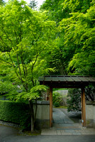 Japanese Garden Near The Tea House