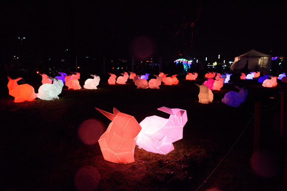 Glow Bunnies by Olivier Bouwman