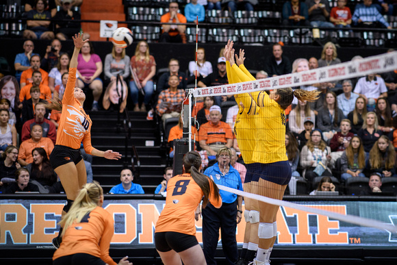 Cal at OSU Women's Volleyball