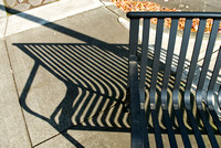 Bench and Shadow