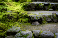Steps in the Natural Garden