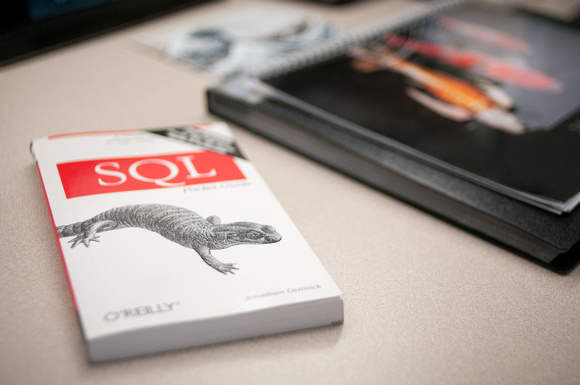 SQL Reference Book