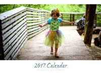 My 2017 Calendar