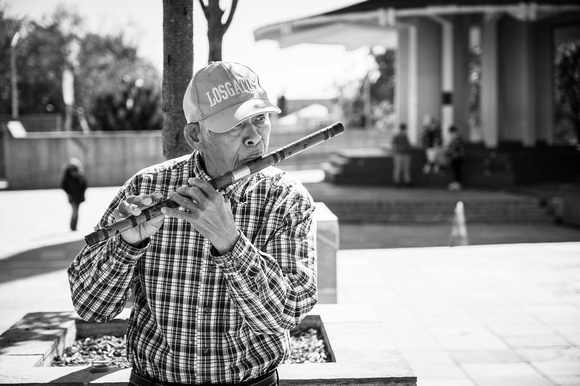 Flute Player