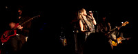 Concert Performance