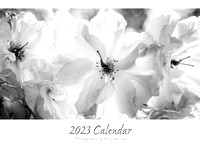 My 2023 B&W Calendar