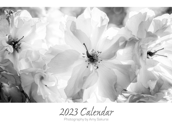 Calendar Page: Photography by Amy Sakurai