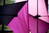 Kites