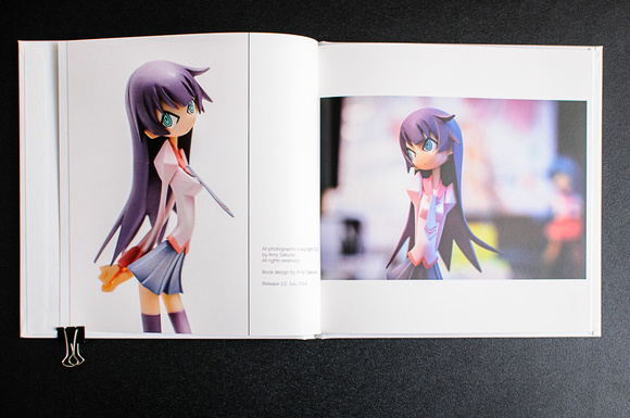 Anime Figurines Photo Book