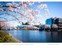Calendar Page: Photography by Amy Sakurai