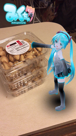 Miku and Fortune Cookies