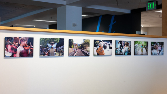 My Photos on Display at Work