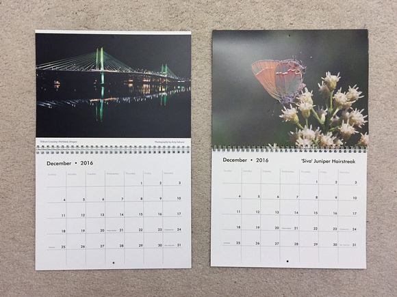 Zazzle 2016 Photo Calendars