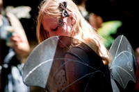 Black Wings