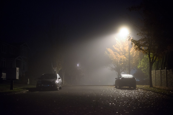 Fog and Streetlamp
