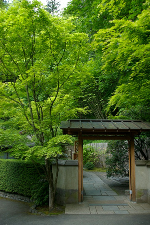 Japanese Garden Near The Tea House