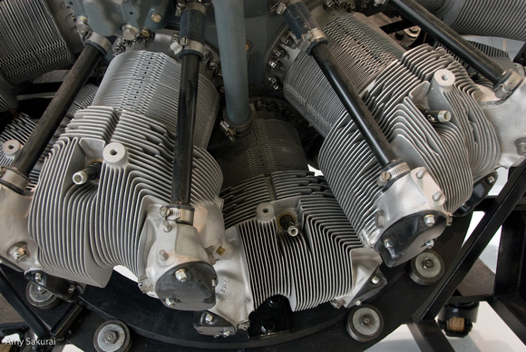 Piston engine detail