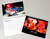 My 2009 Calendar