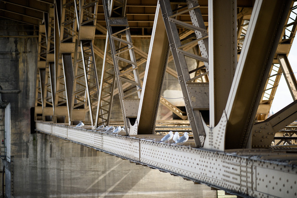 Burnside Bridge