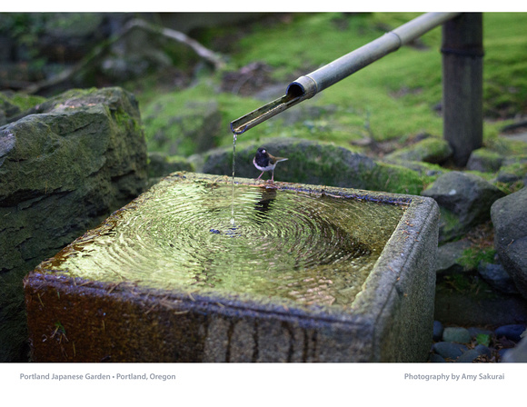 Calendar Page: Photography by Amy Sakurai