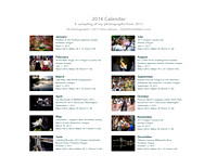 Calendar Page: Photography by Amy Sakurai