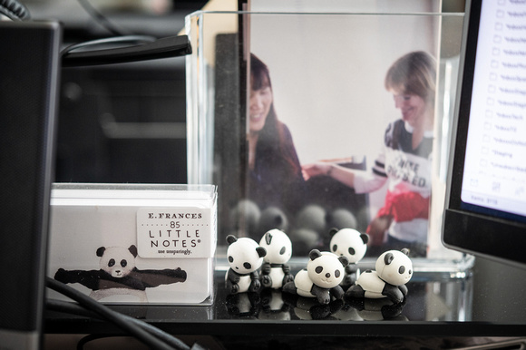 Mini Pandas on My Desk