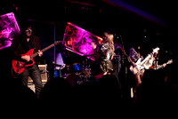 Concert Performance