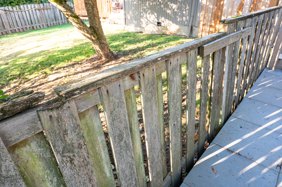 Old Backyard Fence