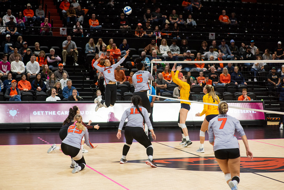 Cal at OSU Women's Volleyball