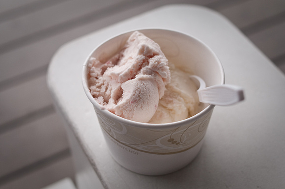 Ice Cream from Osburn's Ice Creamery