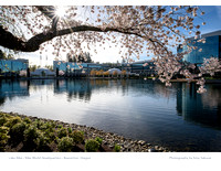 Calendar Page: Photography by Amy Sakurai