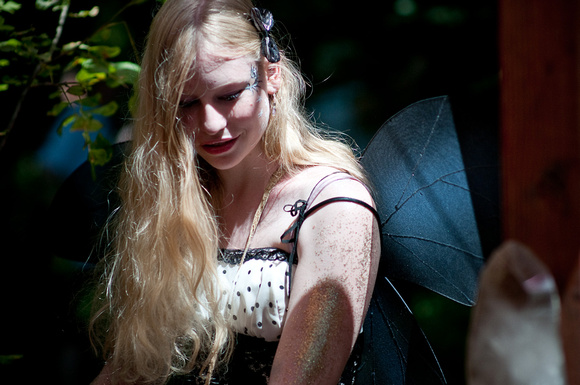 Black Wing in Shadow