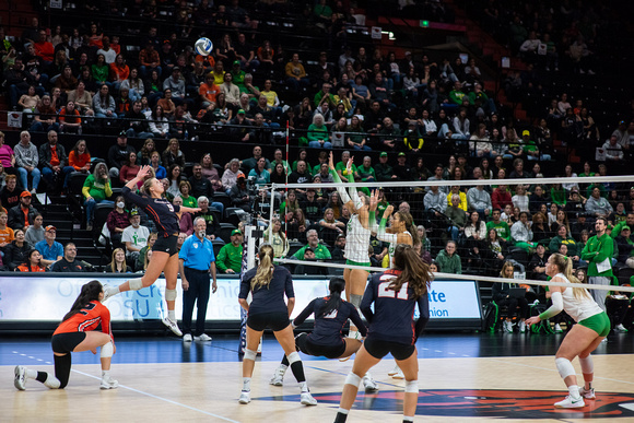 Oregon at OSU Women's Volleyball