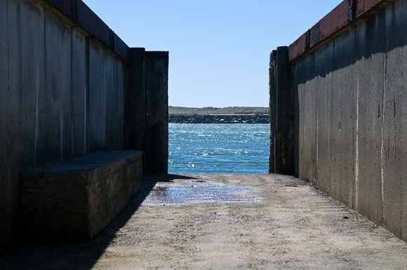 At Harbor Vista (Lane County Park)