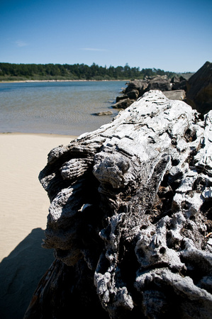 At Harbor Vista (Lane County Park)
