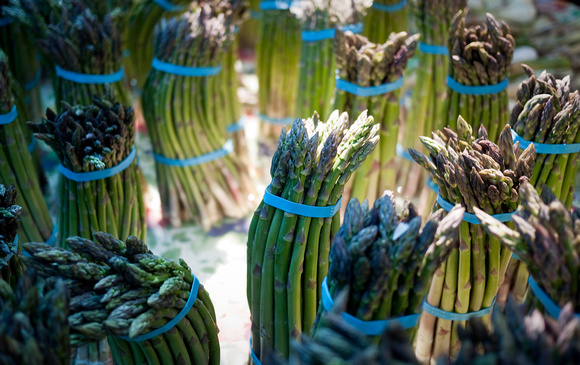 A Gathering of Asparagus
