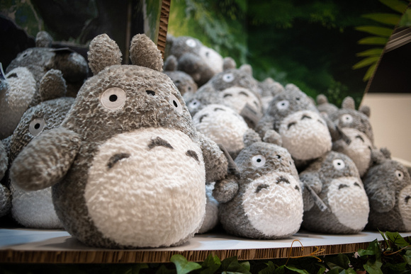 Studio Ghibli Chu Totoro Display