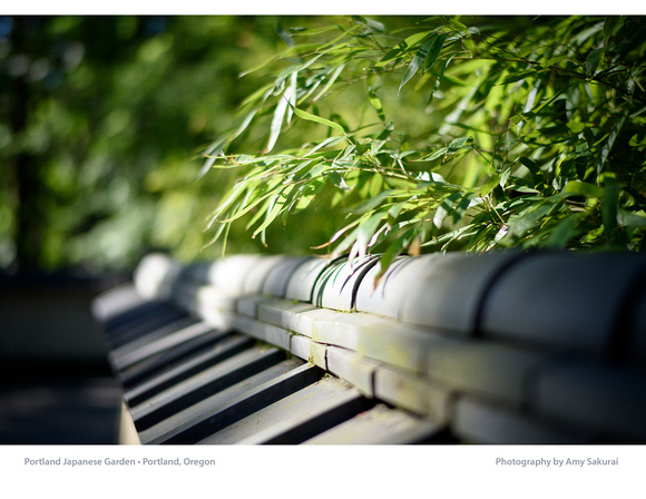 Calendar Page: Photography by Amy Sakurai