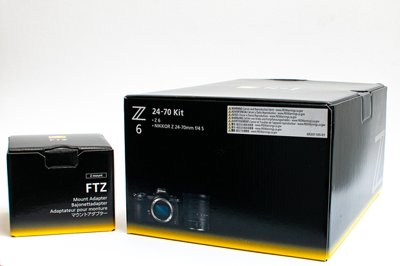 Nikon Z6 & FTZ Adapter