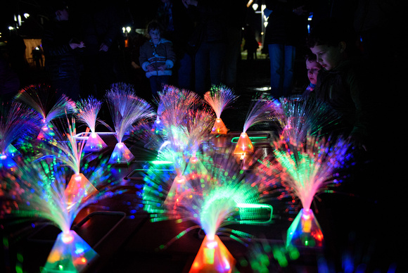 Light Gardening / A Robot at Play by Richard Miner & Tom Barnes