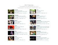 Calendar Page: Photography by Amy Sakurai