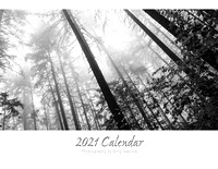 My 2021 B&W Calendar