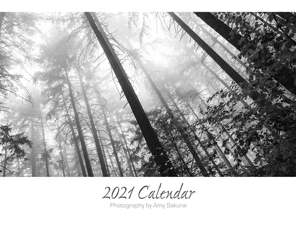 Calendar Page: Photography by Amy Sakurai