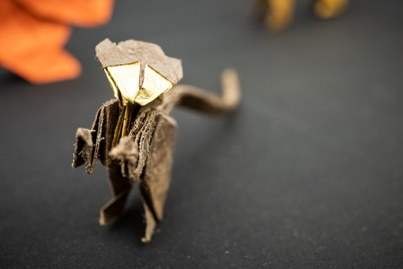 Origami